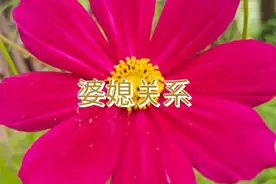 奚爸丑恶嘴脸终于露出来了，之前都是骗梅子的友友们说对了。