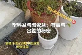 塑料盆与陶瓷盆：有毒和出氢的秘密㊙️视频封面