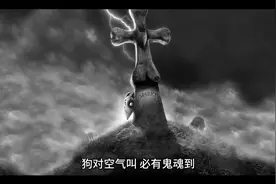 狗对空气叫必有鬼魂到。这句话听起来有些迷信但我曾经亲身经历过视频封面