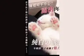 三楼窗户娇羞的喊了一声丢死人了然后从窗丢下具尸体梗图分享第六