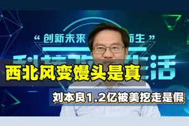西北风变馒头是真 刘本良1.2亿被美挖走是假