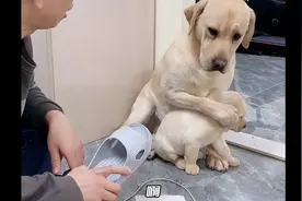 私密马赛～妈妈酱～瓦达西不是故意的