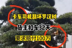 长沙货车司机碰断两根树枝要赔100万，保险赔七万扣车32天不让走
