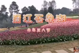 游成都浦江石象湖视频封面