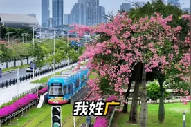 排名第一的旅游大省，你猜不到视频封面