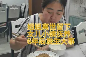 6年前姐姐姐夫双双离世留下女儿由我照顾6年后发生了一件天大的事视频封面