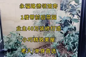 永福路带前后花园35平 小巧精致美屋 业主40万装修打造 1房1厅1卫视频封面