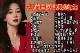 烟嗓情歌十首，每一首都动人心弦视频封面