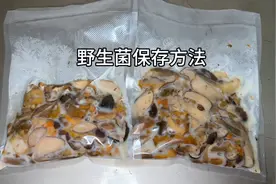 吃不完的野生菌像这样保存，储存好几个月也没有问题