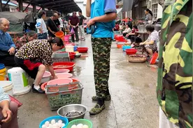 天天下雨，农村集市上河鱼河鲜泛滥了，翘嘴鱼3块钱一斤，一起瞧视频封面