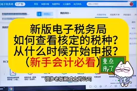 新版电子税务局如何查看税种？什么时候申报？视频封面