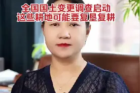 国土调查新政，耕地复垦正当时。视频封面