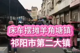 床车摆摊祁阳市第二大镇，羊角塘集市摆摊卖保密产品视频封面