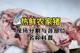 现场分割猪肉科普每个部位的名称！你是否学废！视频封面