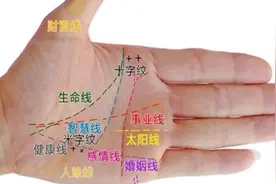 【手相】三大主线：生命线，事业线，婚姻感情线
