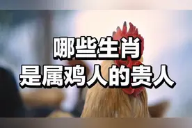 哪些生肖是属鸡人的贵人视频封面