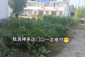 出门半年家里成这样😂结婚后打工回家啥都往家里带我怎么变成这样