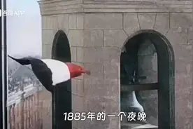 1885年的夜晚，一只可爱的鸟儿在窗边眺望