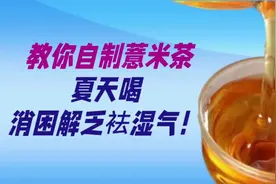 教你自制薏米茶，夏天喝，消困解乏祛湿气！