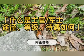 什么是士官，什么是军士，如何成为士官军士？军衔等级、待遇如何