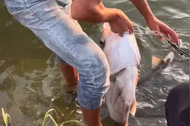 俩兄弟挑战赣江夜钓，第一次见这么大的鲢鳙，看的我心痒痒