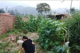 我，一个人住山里，怎么生活的？最大的开销是什么？视频封面