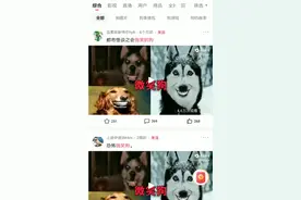 都市怪淡微笑狗视频封面