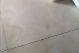 狗狗吃骨头，必须水煮不放任何东西。吃的开开心心