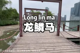 来安徽不得不学一句“龙鳞马”！今天幽默解说龙鳞马！