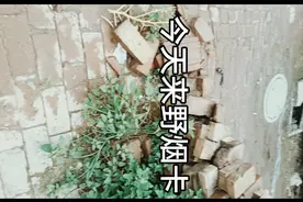 涡轮增压，和黄鹤楼1916