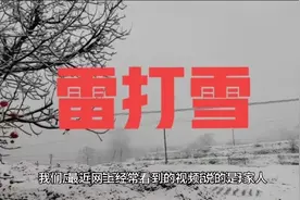 你们那里也出现过下雪时打雷吗？视频封面