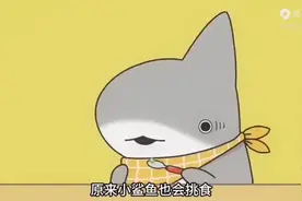一口气看完可爱小鲨鱼视频封面