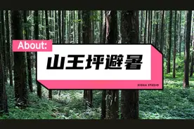 重庆避暑就去山王坪，山上只有20度左右，早上还要穿毛衣！