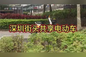 深圳出现共享电动车，如果大面积的铺开，对出租车是毁灭性打击