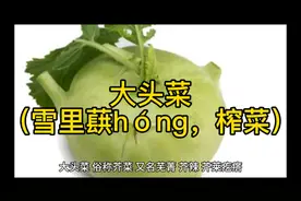大头菜（雪里蕻hóng，榨菜）视频封面