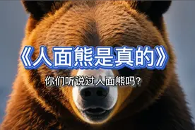 你们听说过人面熊吗？视频封面