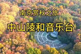 南京赏秋之旅～中山陵和音乐台。钟山风景区一天徒步三万步真的累