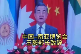 中国昆明滇池国际会展中心举办南亚博览会由王毅部长开幕致辞。视频封面