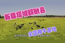 新疆塔城额敏县