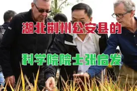 出生于湖北荆州公安县的科学院院士、华中农业大学水稻专家张启发视频封面