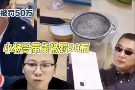 小杨哥假牛肉卷被罚款50万视频封面