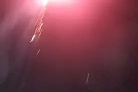 闲暇之余带着孩子海边放烟花视频封面