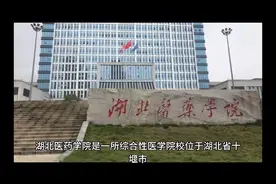湖北医药学院（公办本科）视频封面