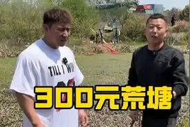 带华哥300元挑战废弃鱼塘！抽干水惊现鳄龟王！