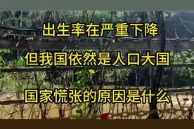 出生率在严重下降，但我国依然是人口大国，国家慌张的原因是什么视频封面
