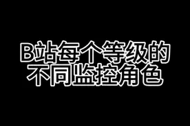 B站每个等级的不同监控角色