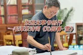 张旭光草书创作：毛泽东词《沁园春·雪》视频封面