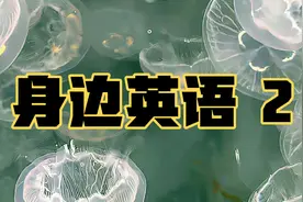 英语单词在身边