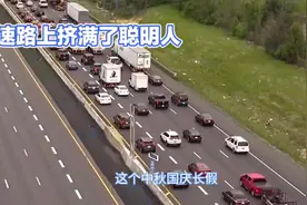 高速路上挤满了聪明人视频封面