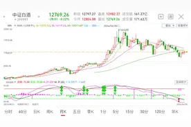 5.1中证白酒指数走势分析